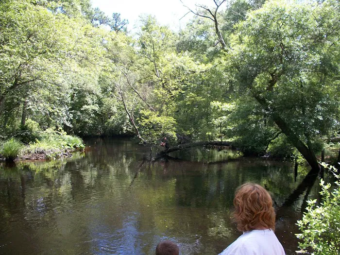 Winding River Campground Picture 1