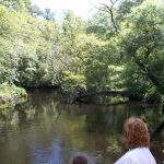 Winding River Campground