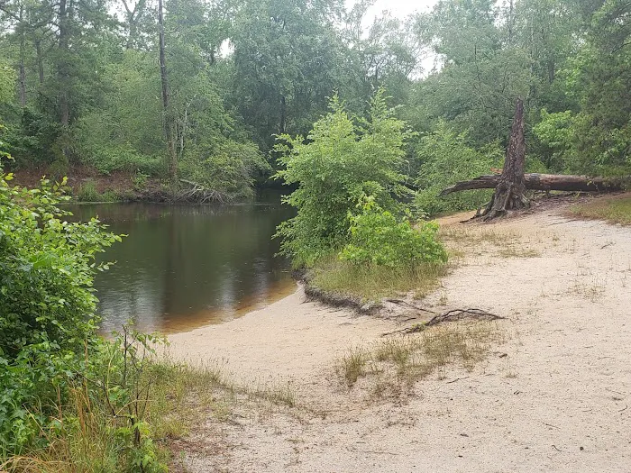 Camp Acagisca Picture 6
