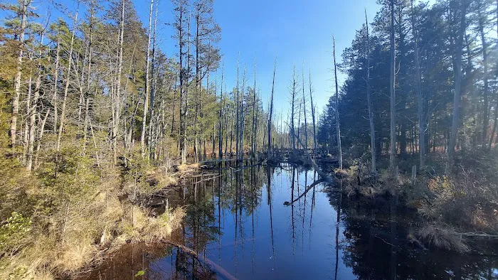 Batona Campground Picture 1