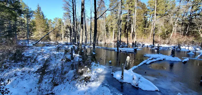 Batona Campground Picture 5