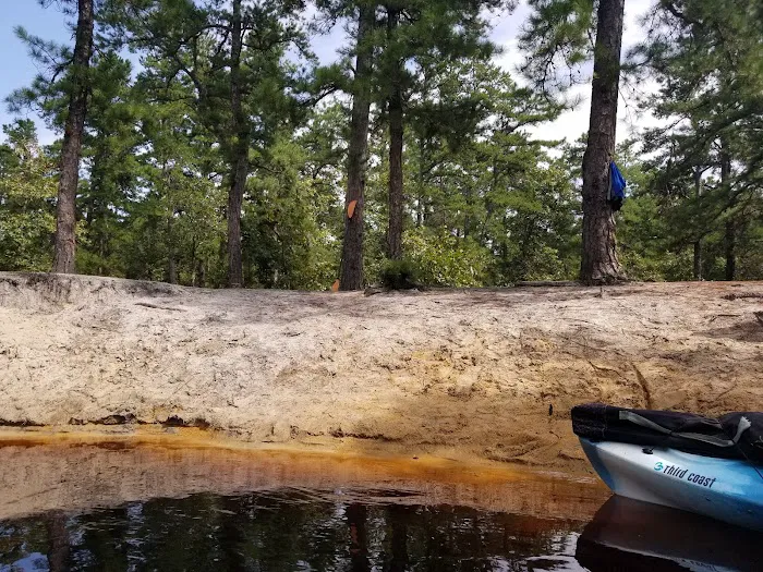 Mullica River Campground Picture 7