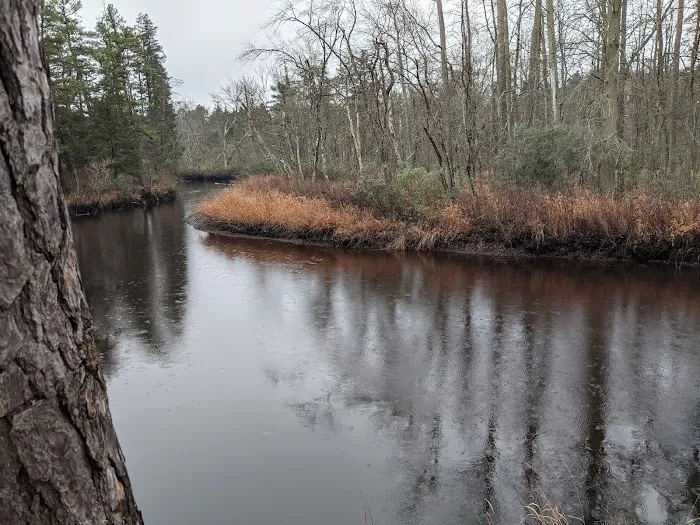Mullica River Campground Picture 9