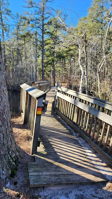 Mullica River Campground Picture 8