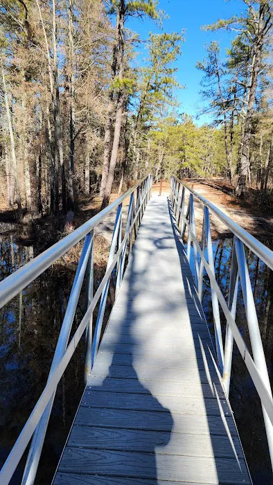 Mullica River Campground Picture 6