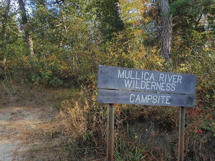 Mullica River Campground Picture 5