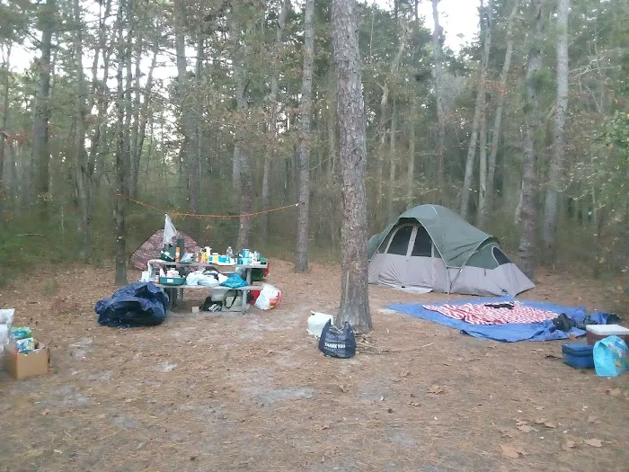 Buttonwood Hill Campsite Picture 5