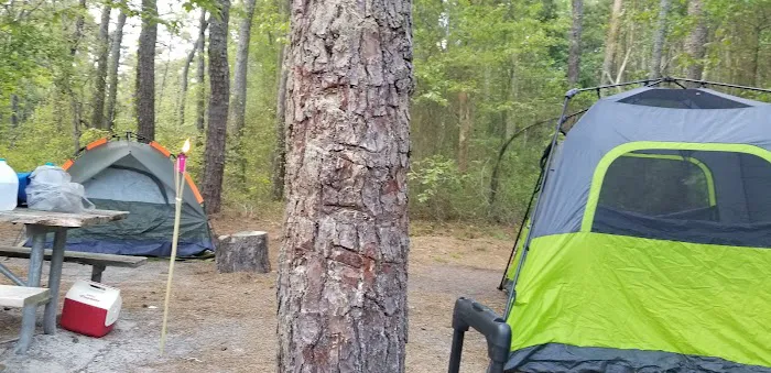 Buttonwood Hill Campsite Picture 3