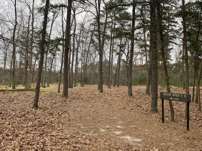 Hawkins Bridge Campground Picture 4