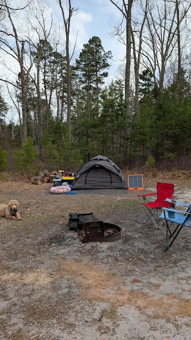 Hawkins Bridge Campground Picture 2