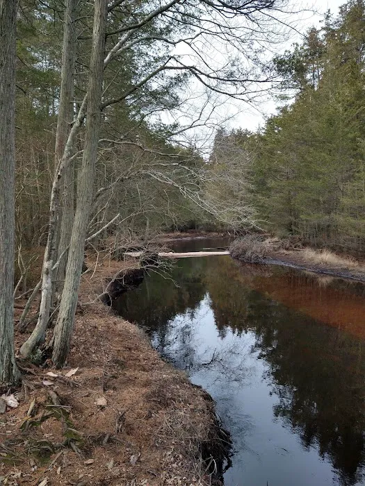 Hawkins Bridge Campground Picture 3