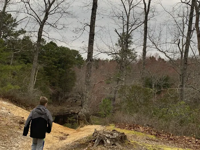 Hawkins Bridge Campground Picture 9