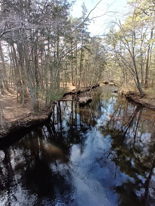 Godfrey Bridge Campground Picture 4