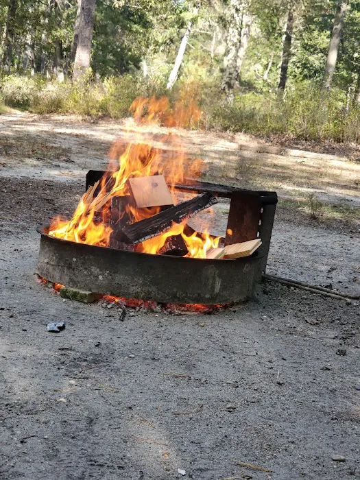 Godfrey Bridge Campground Picture 2