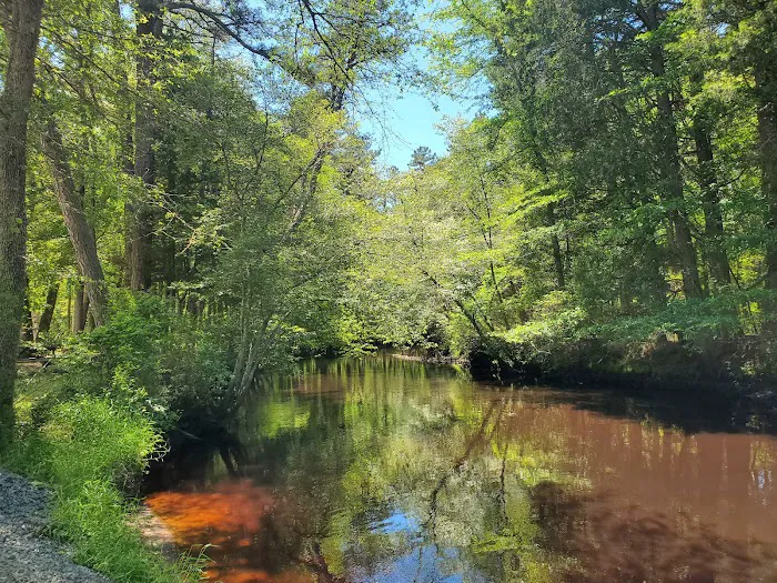 Wading Pines Camping Resort Picture 9