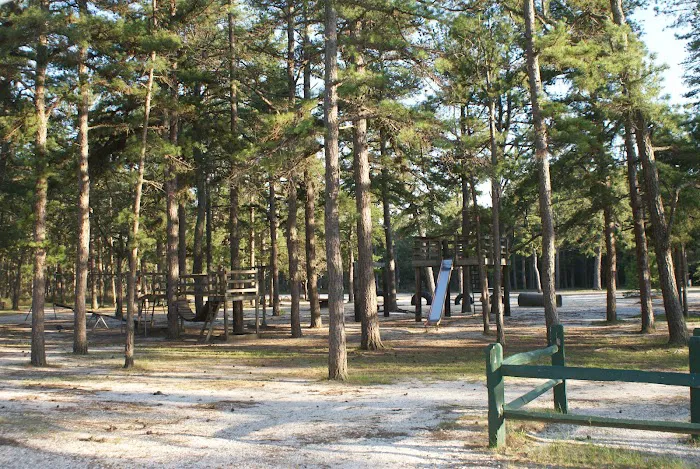 Wading Pines Camping Resort Picture 10