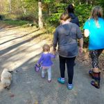 Diehl Cabins/Campsites, Allegany State Park