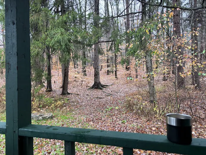 Diehl Cabins/Campsites, Allegany State Park Picture 4