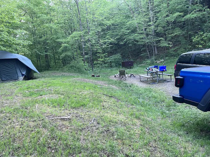 Diehl Cabins/Campsites, Allegany State Park Picture 6