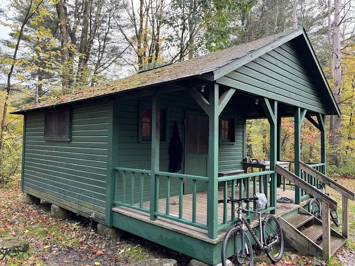 Diehl Cabins/Campsites, Allegany State Park Picture 10
