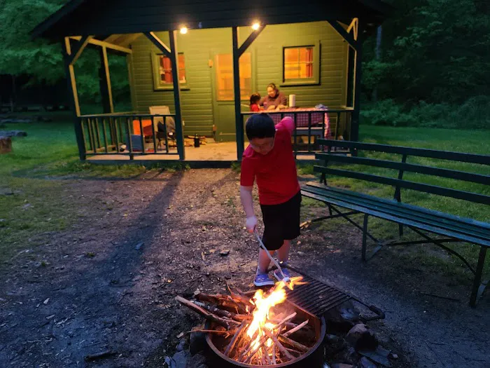 Diehl Cabins/Campsites, Allegany State Park Picture 7