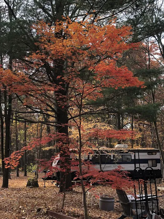 Irish Valley Campground Picture 8