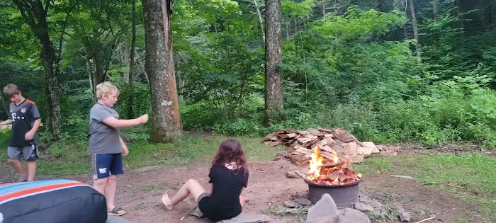 Hemlock Valley Campground Picture 4