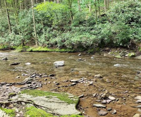 Hemlock Valley Campground