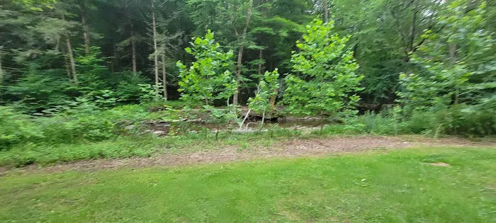 Hemlock Valley Campground Picture 2