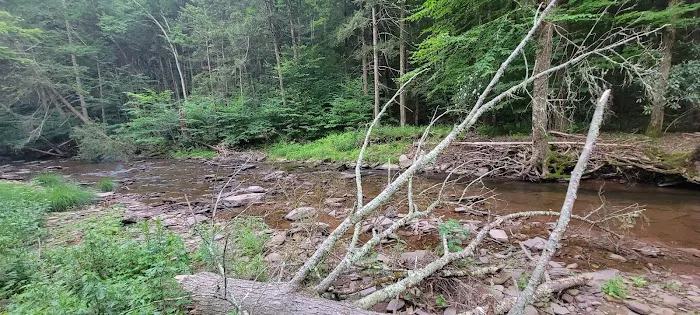 Hemlock Valley Campground Picture 3