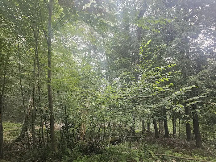 Elk Creek Escape Picture 8