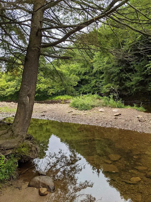County Bridge Campground Picture 10