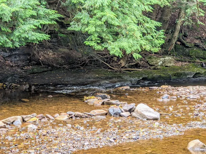 County Bridge Campground Picture 8