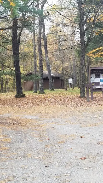 County Bridge Campground Picture 5