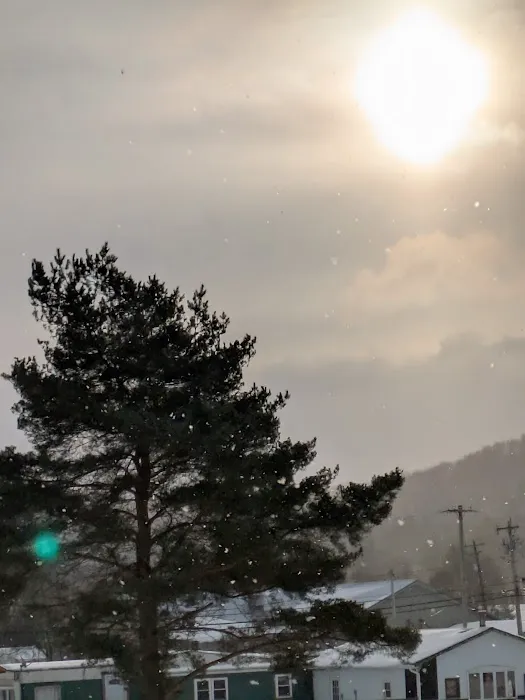 Misty Mountains Park Picture 1
