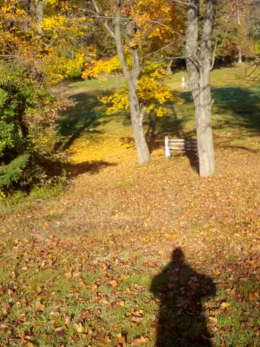 Camp Joy Berks County Parks Picture 6