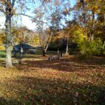 Camp Joy Berks County Parks
