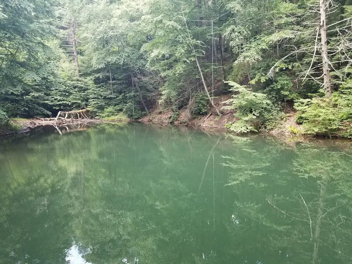 Hertlein Campsite Picture 6