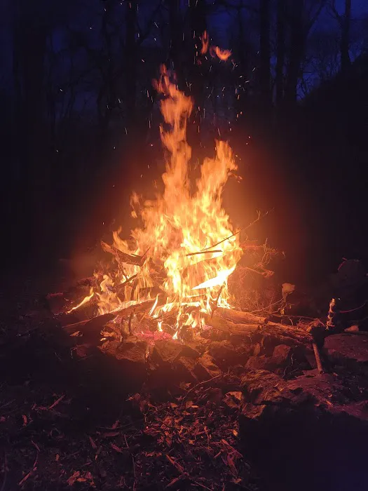 Hertlein Campsite Picture 5