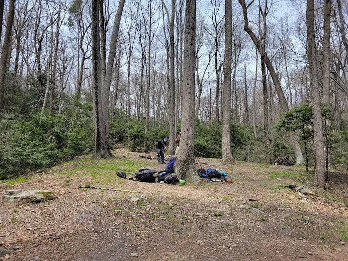 Hertlein Campsite Picture 2