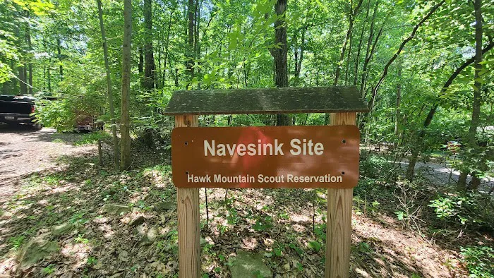 Navesink Campsite HMSR 2024 Picture 7