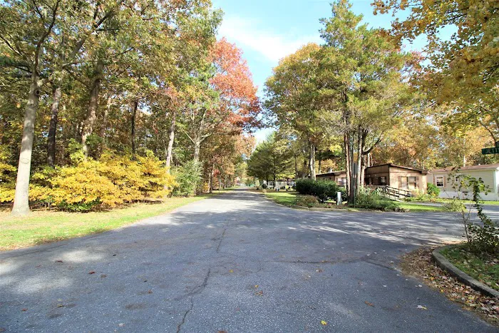 Oak Forest Mobile Home Park Picture 1