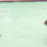 Ocean Isle Campground