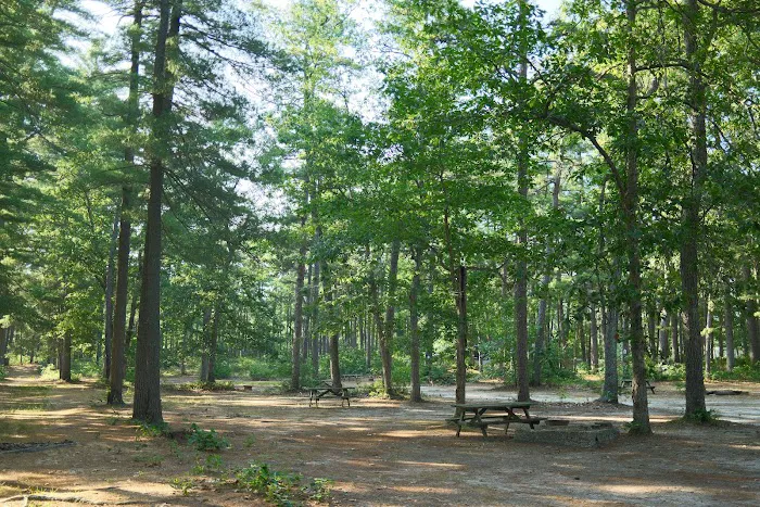 Egg Harbor Lake Campground Picture 9