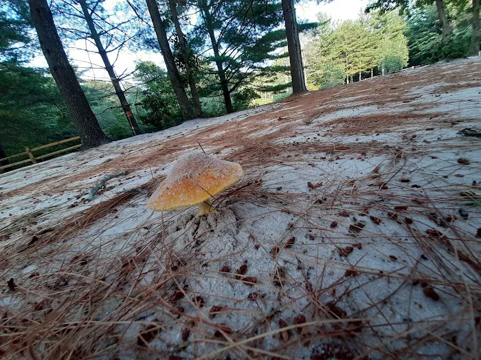 Holly Acres Campground Picture 5