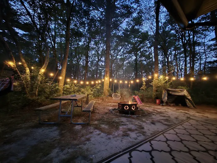 Holly Acres Campground Picture 9
