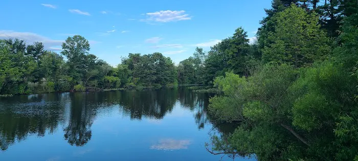 Willow Pond RV Campground Picture 2