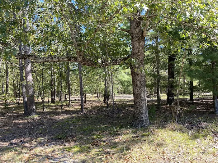 Campsite Picture 10