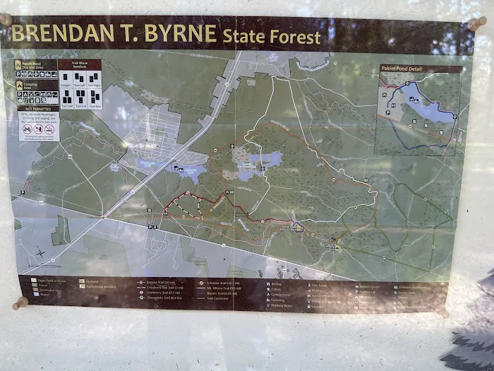 Campsite Picture 4