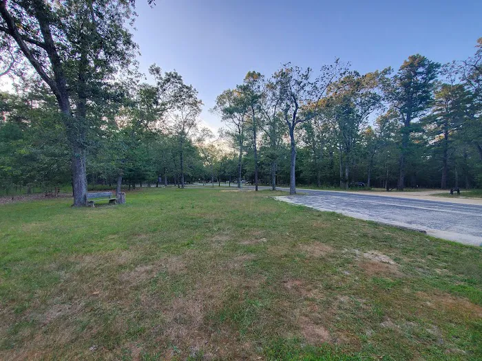 Brendan T Byrne State Forest Campground Picture 3